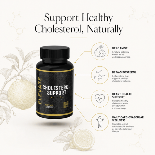 Elevate Supplements Elevate Cholesterol Support bottle featuring bergamot and beta-sitosterol capsules on a white background.