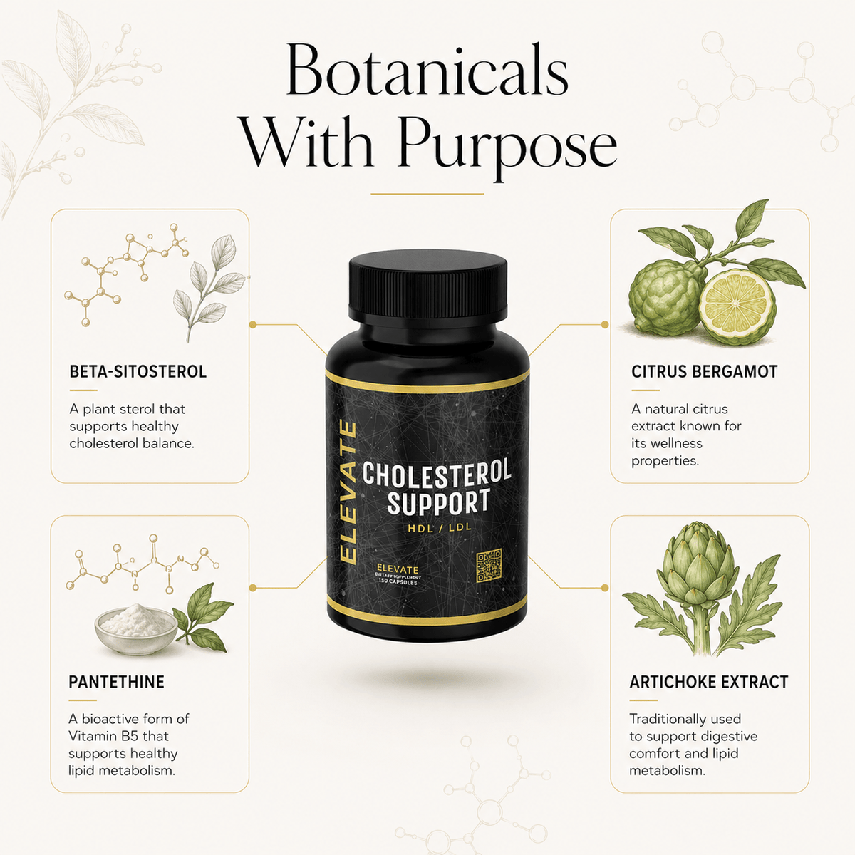 Elevate Cholesterol Support supplement by ElevateSupplementsNI with bergamot and beta-sitosterol capsules in a bottle.