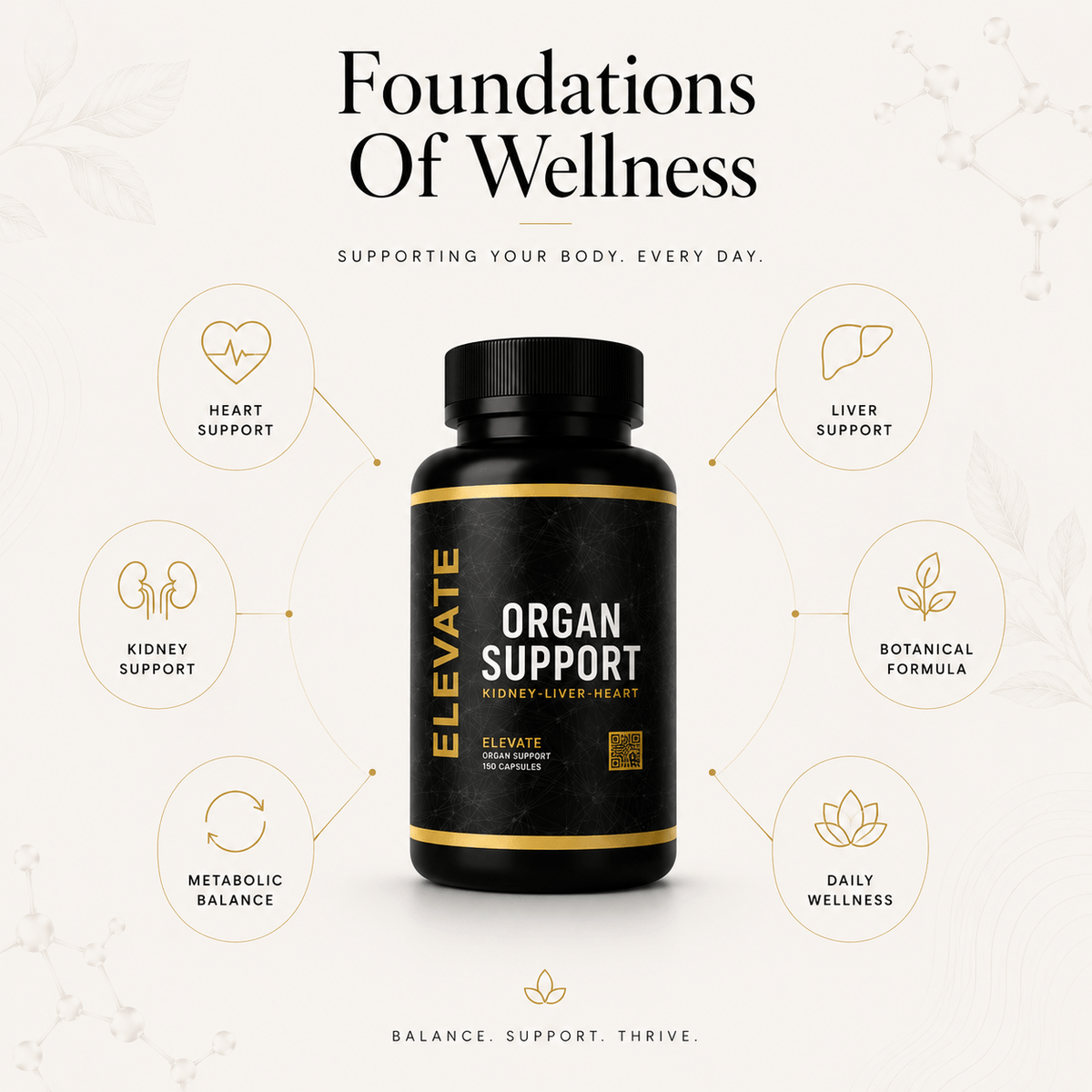 Elevate Supplements Elevate Organ Support bottle with colorful label, showcasing multi-organ health formula for overall wellness.